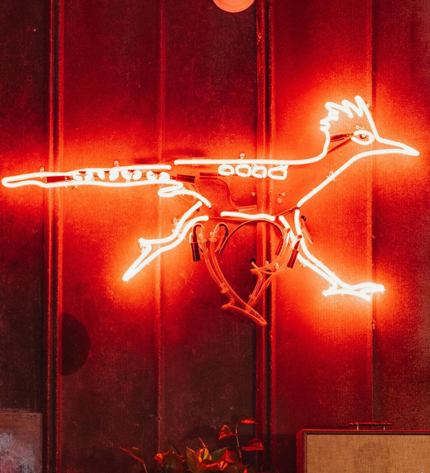 Get moving with us this weekend. We are grateful to have @bigdogneon downtown hooking everyone up with custom lights. 

📸 @jbaltierra.jpg 
#exploredowntownlockhart 
#begoodtoyourneighbors