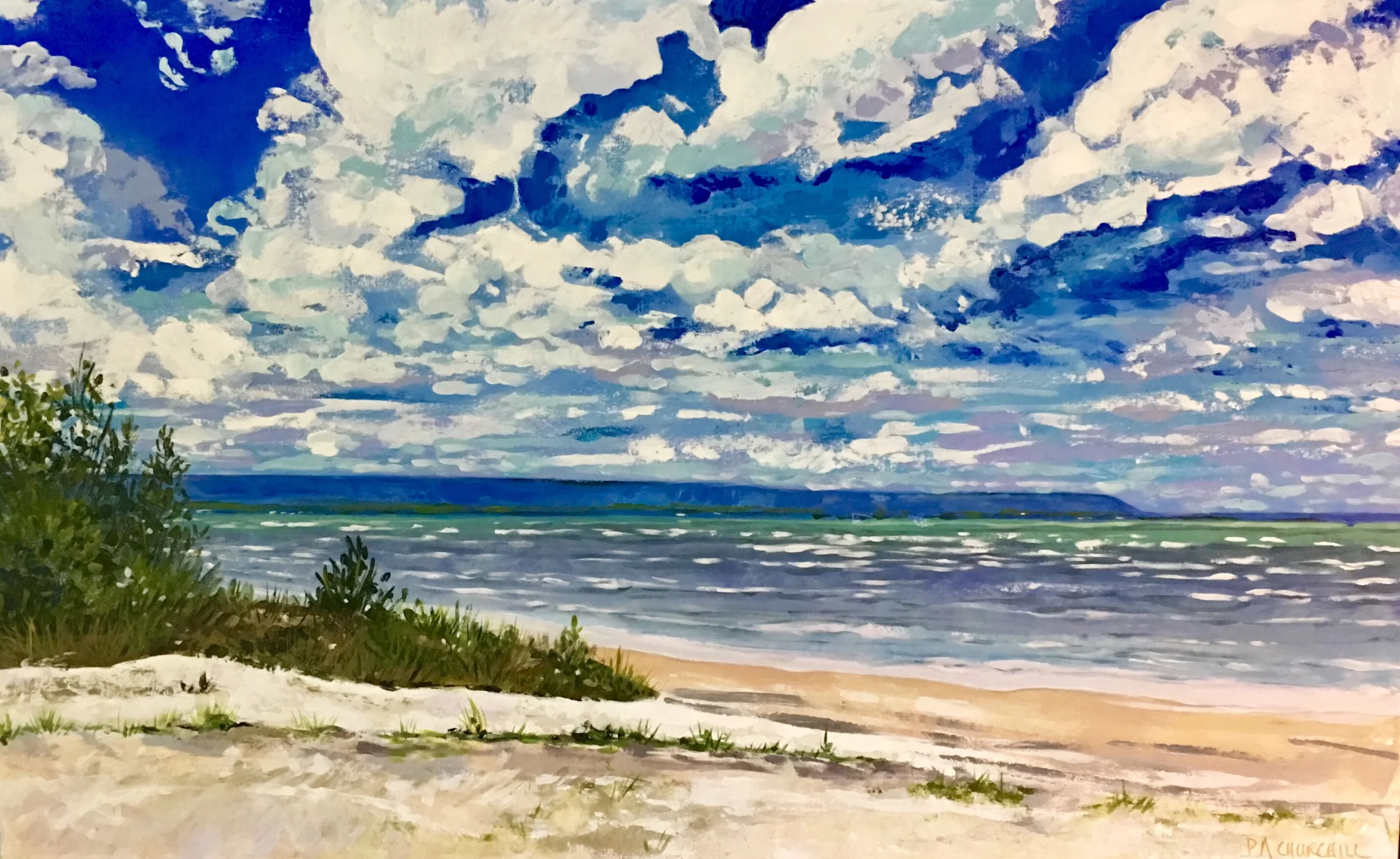 Those Summer Days 30”x48” Acrylic $1085