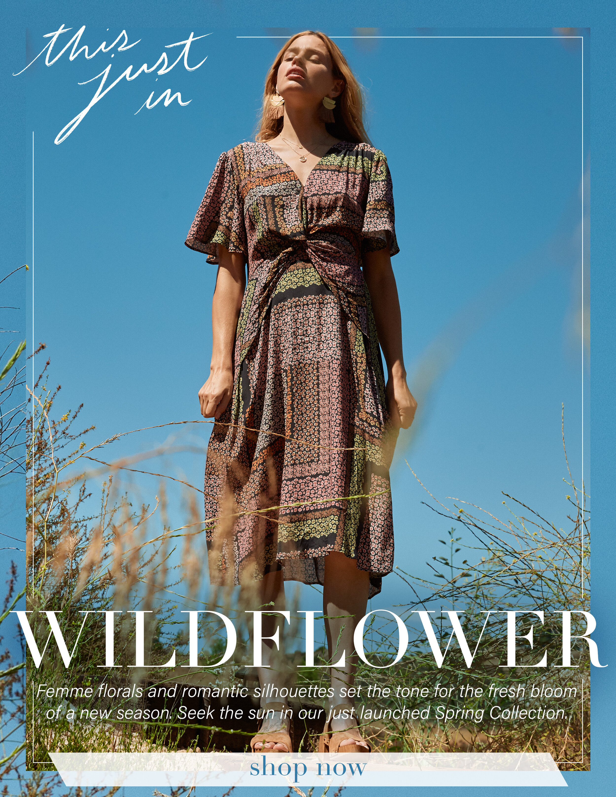 Wildflower v2.jpg