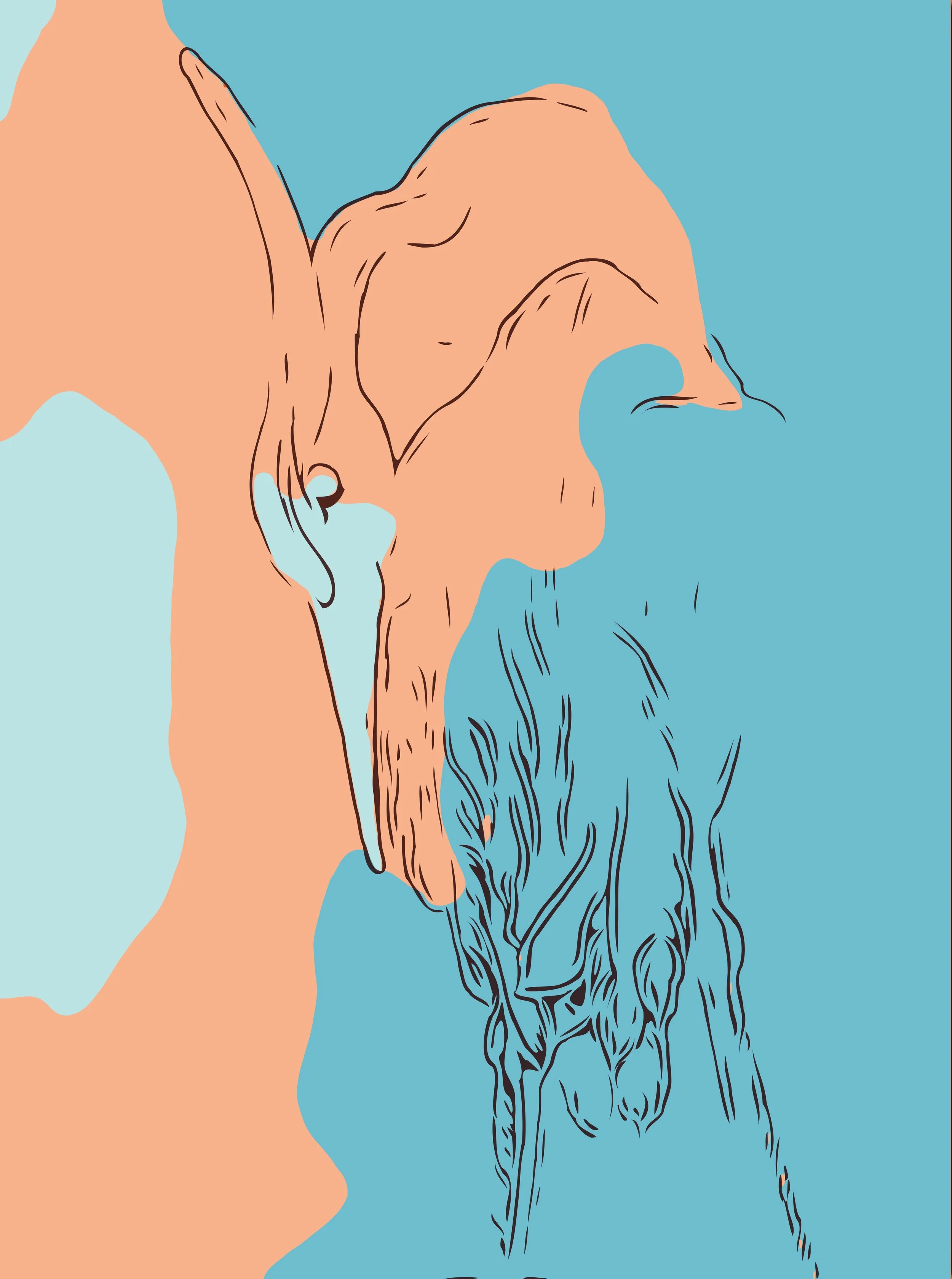 crane sherbet and teal.JPG