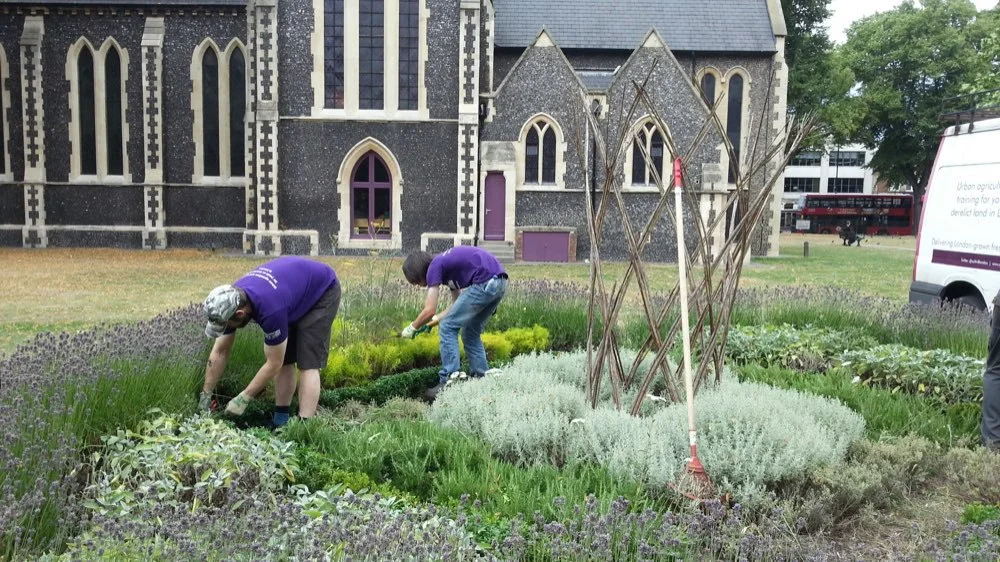 Image source - cultivatelondon.org/