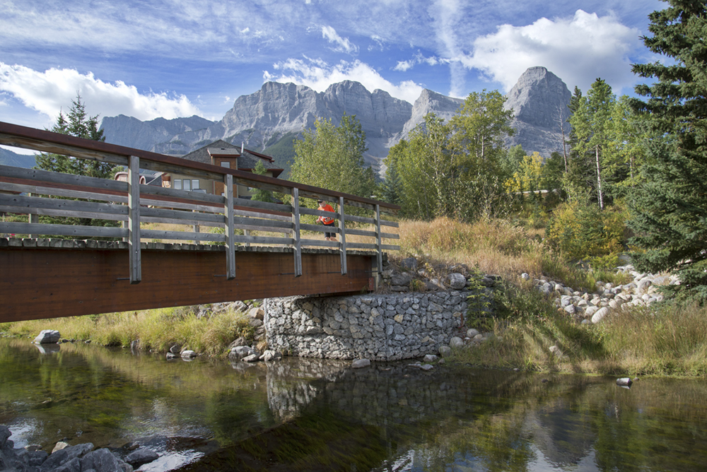 25 Creek bridge runner_pamdoyle w.jpg