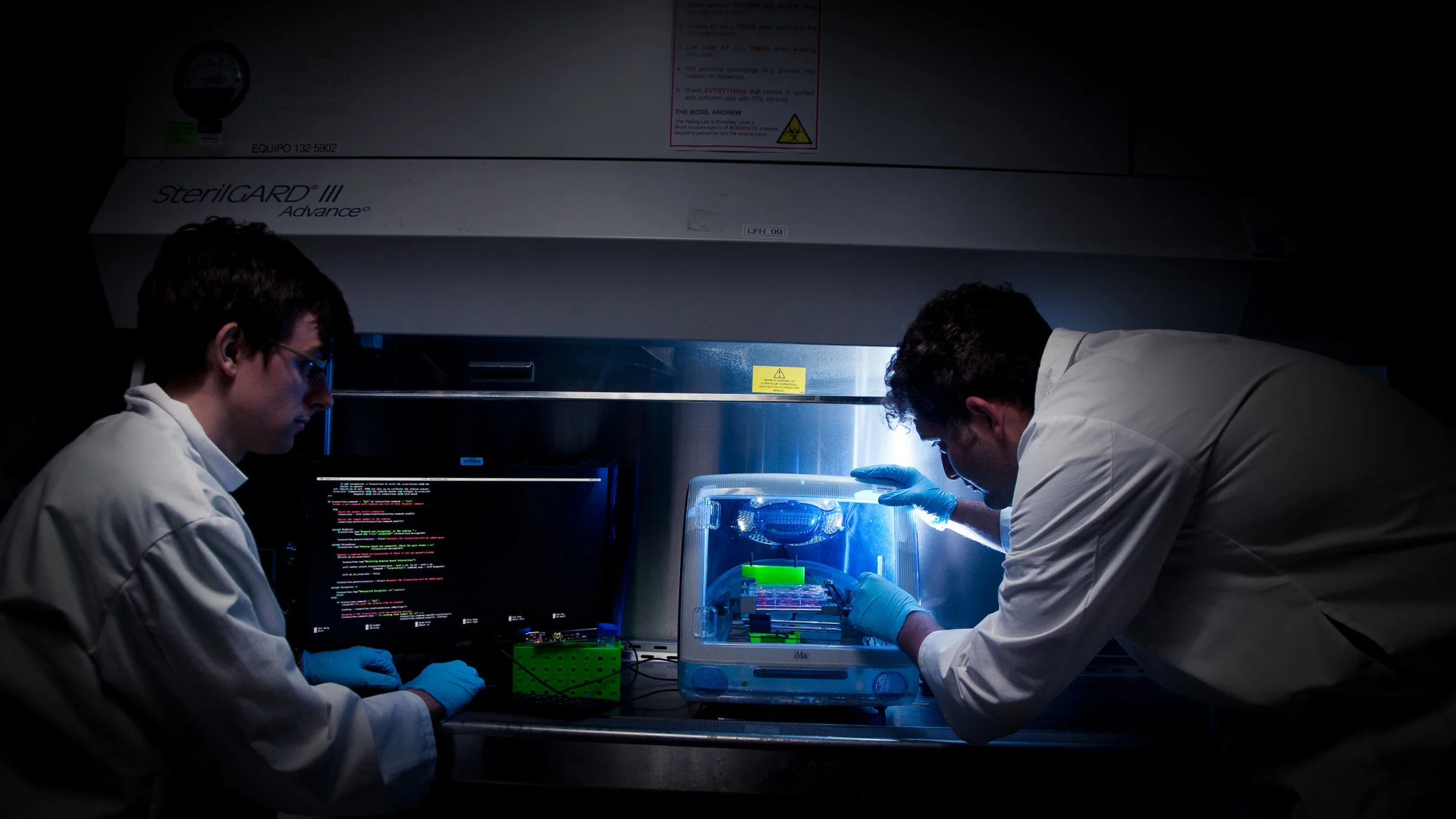 Pelling-lab-7.jpg