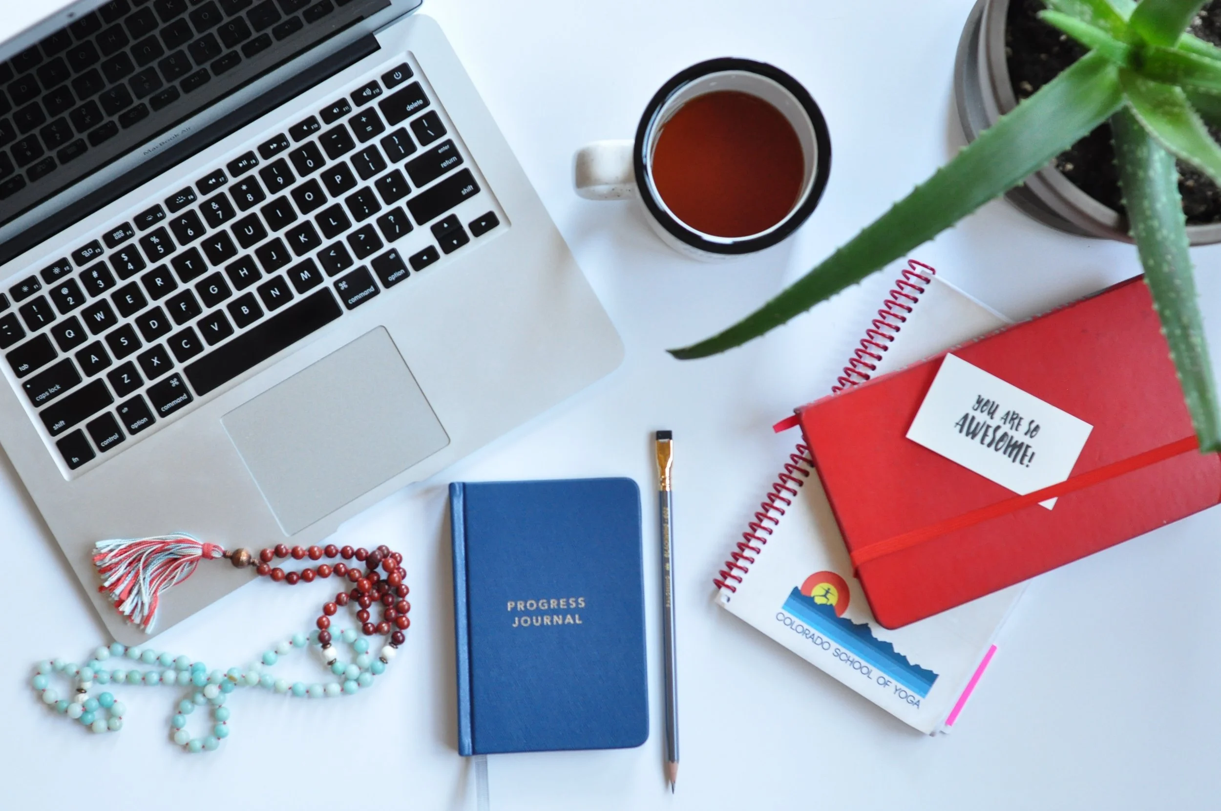 Yoga Teacher Mentorship + Business Course - REGISTRATION EXPIRED