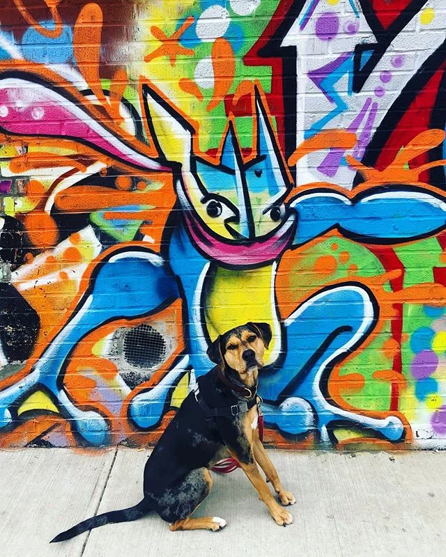 Spirit Animal