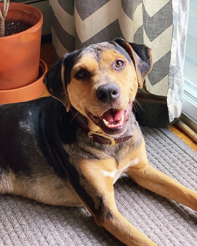 Summer smiles