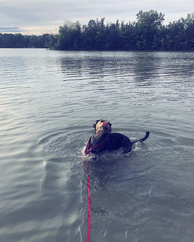 goofball. just add water.