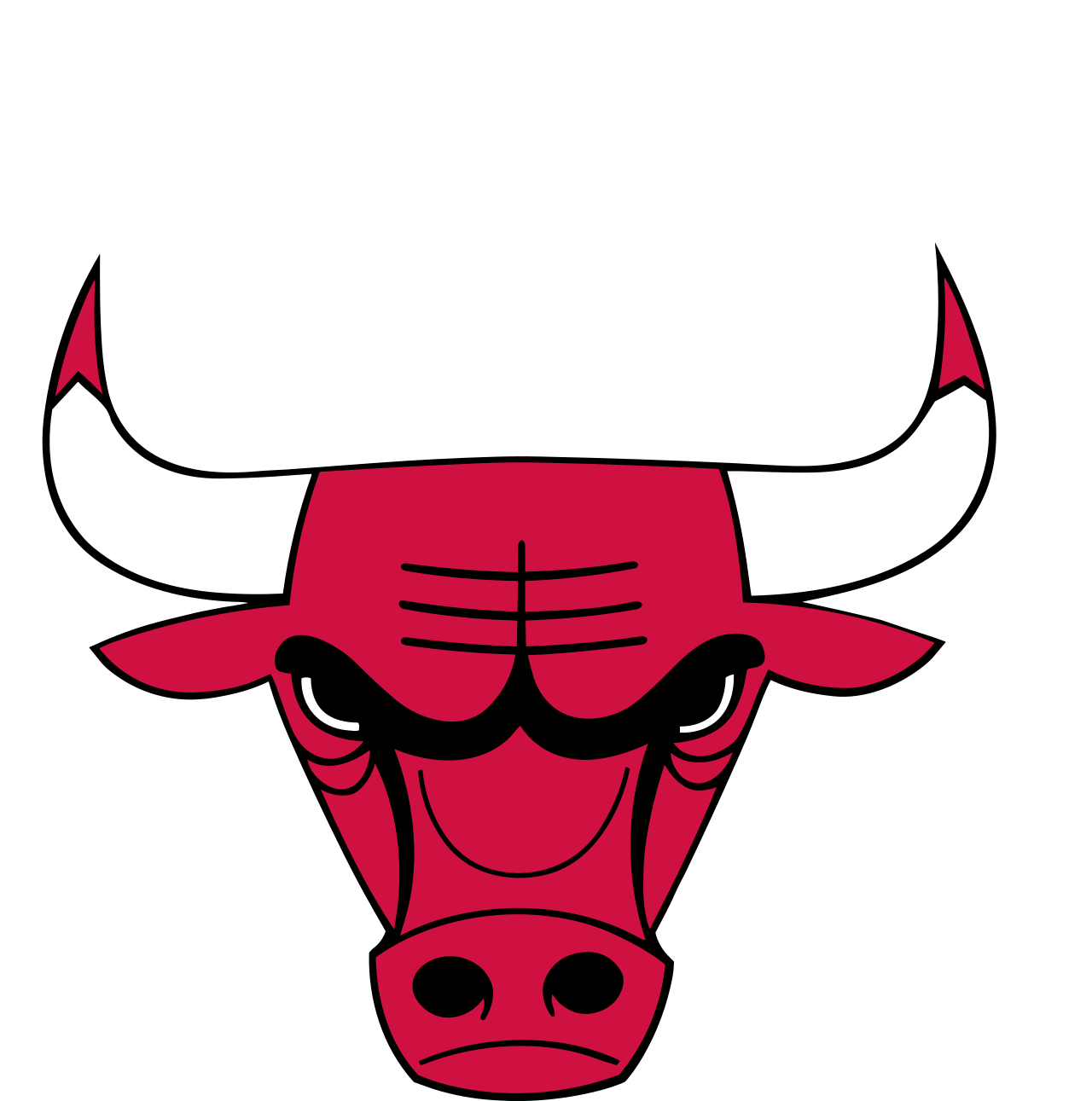 Bulls Logo White.png