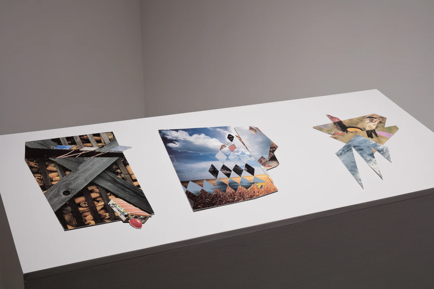 Installation Shot 2015 Contemporary Arts Center, New Orleans