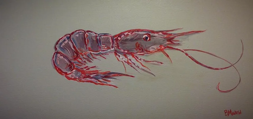 shrimp.jpg