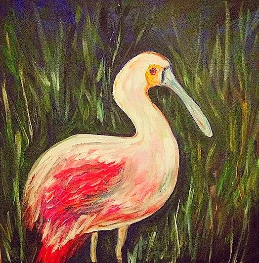 spoonbill2.JPG