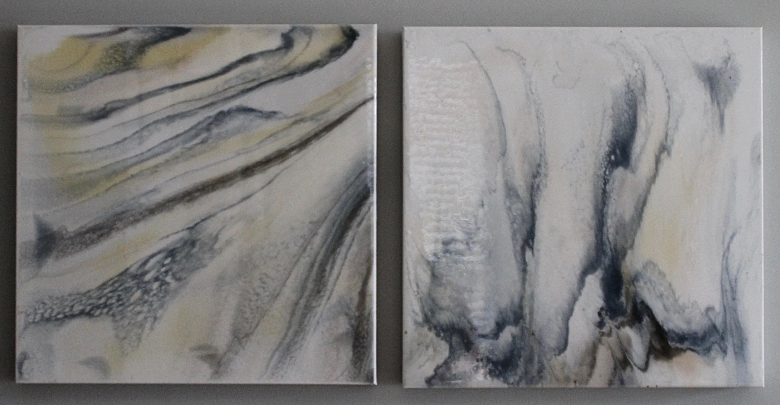 ON EXHIBIT | title | set of 2 20" x 20" on soft canvas