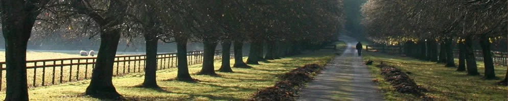 path994x198.jpg
