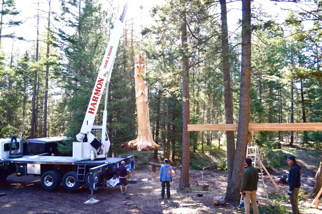 craneday2.jpg
