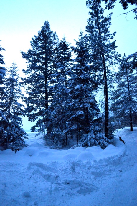 DSC_0122.jpg