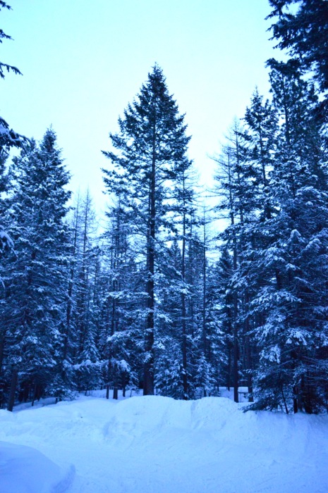 DSC_0077.jpg