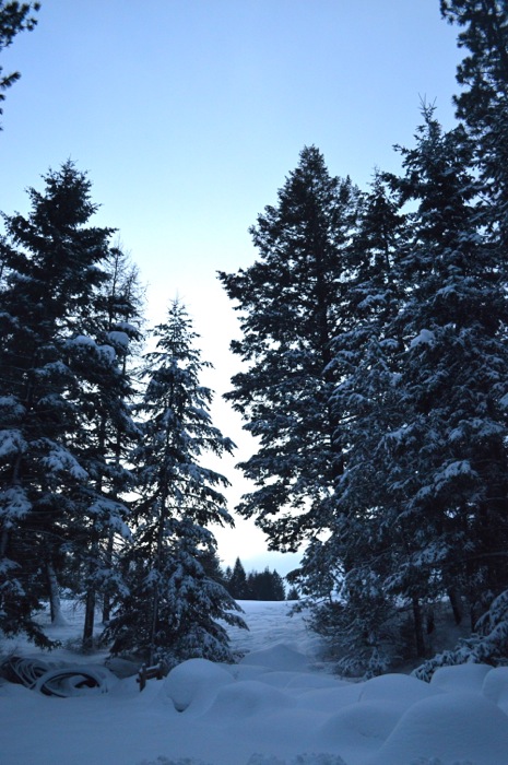 DSC_0055.jpg