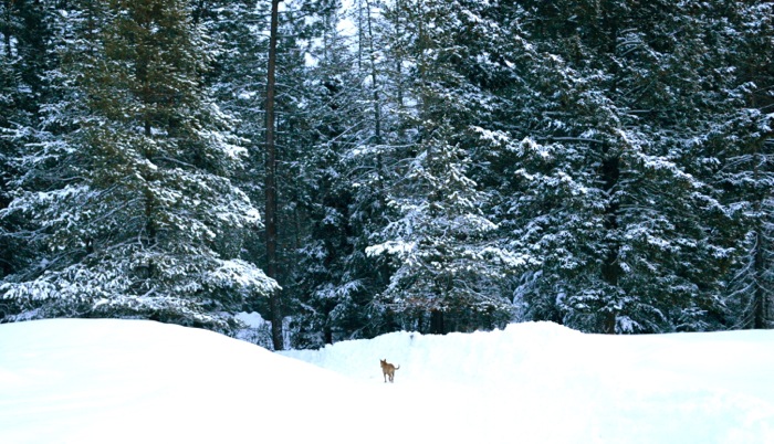 DSC_0008.jpg
