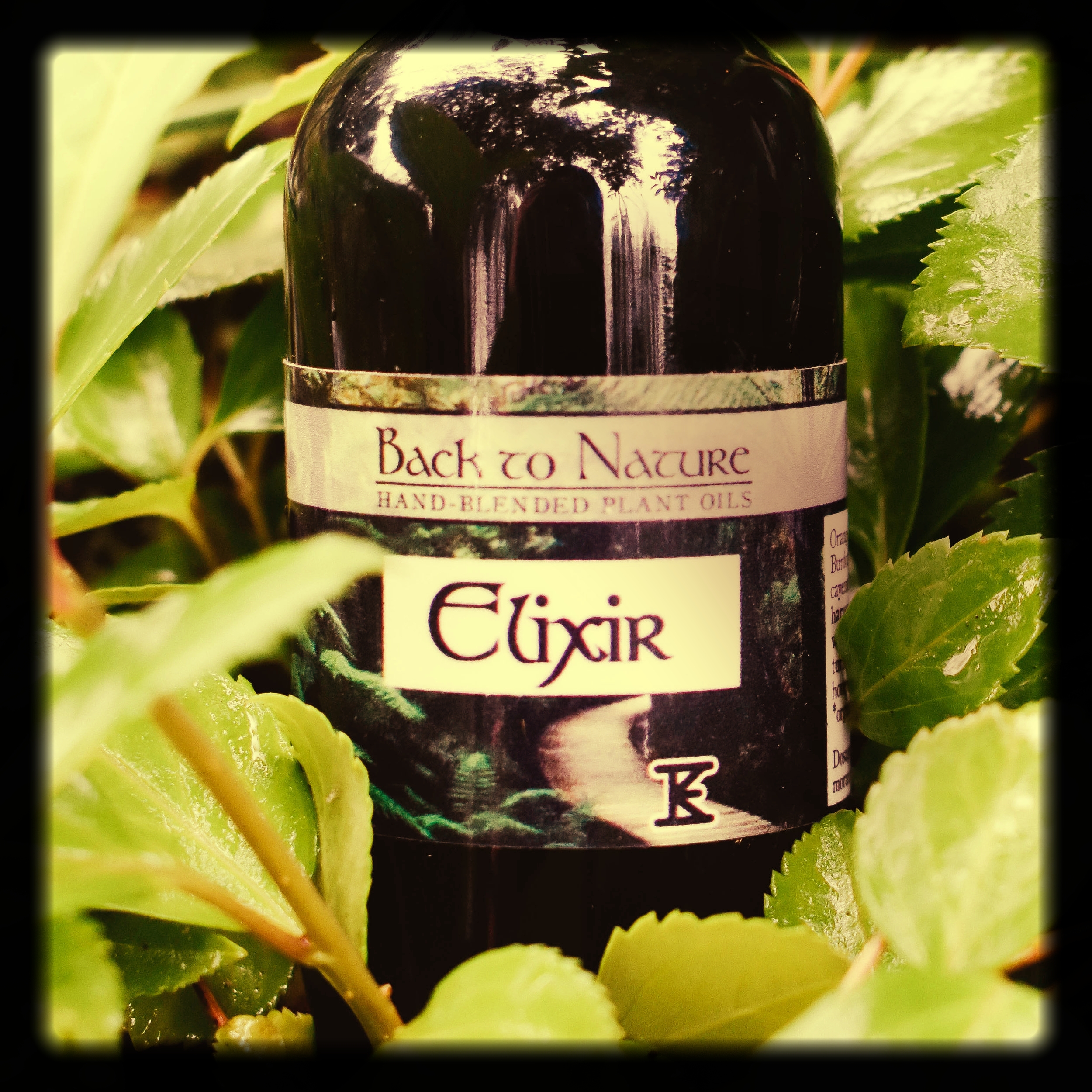 Elixir Cropped.jpg