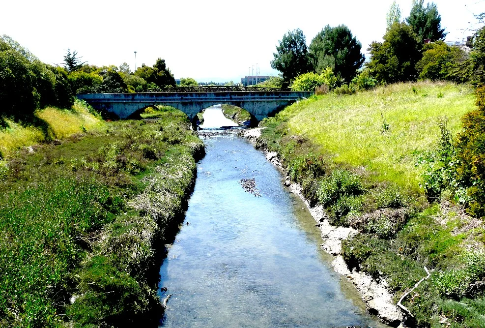Environmental Docent Led Walks at Shoreline