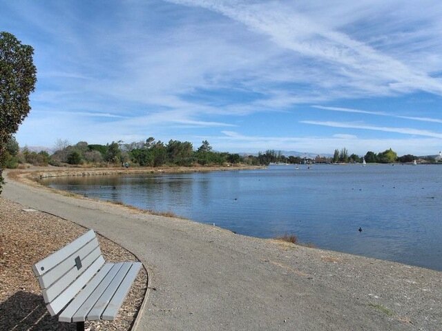 Shoreline-Lake.jpg