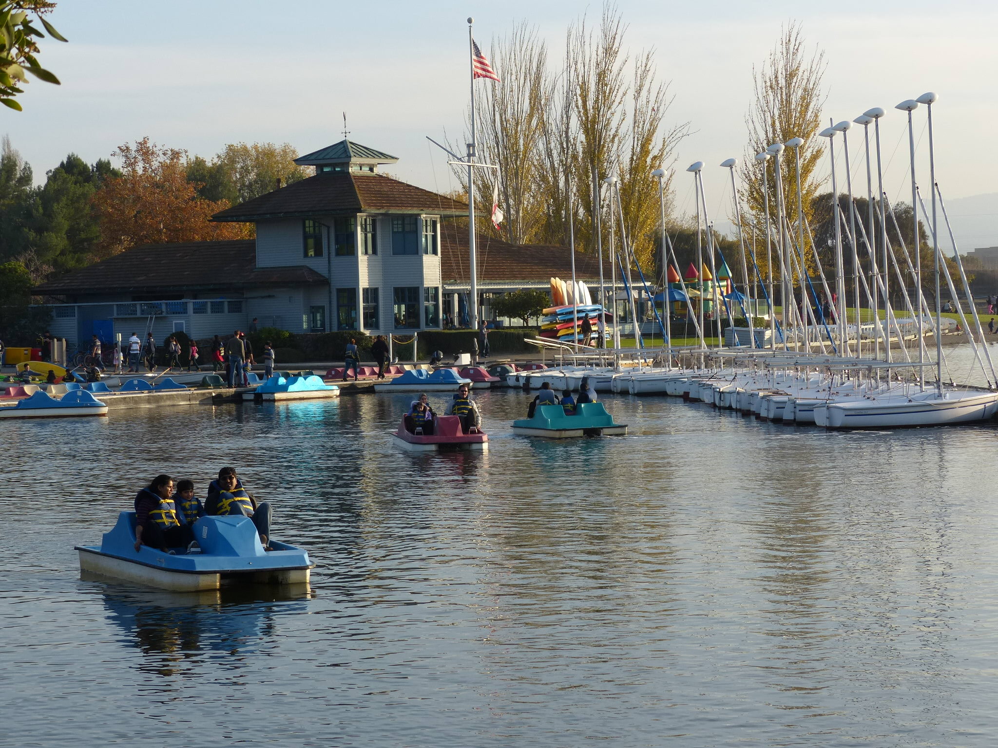 pedalboats.jpeg