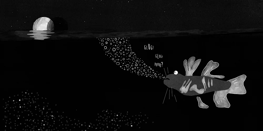 fish1 copy.jpg