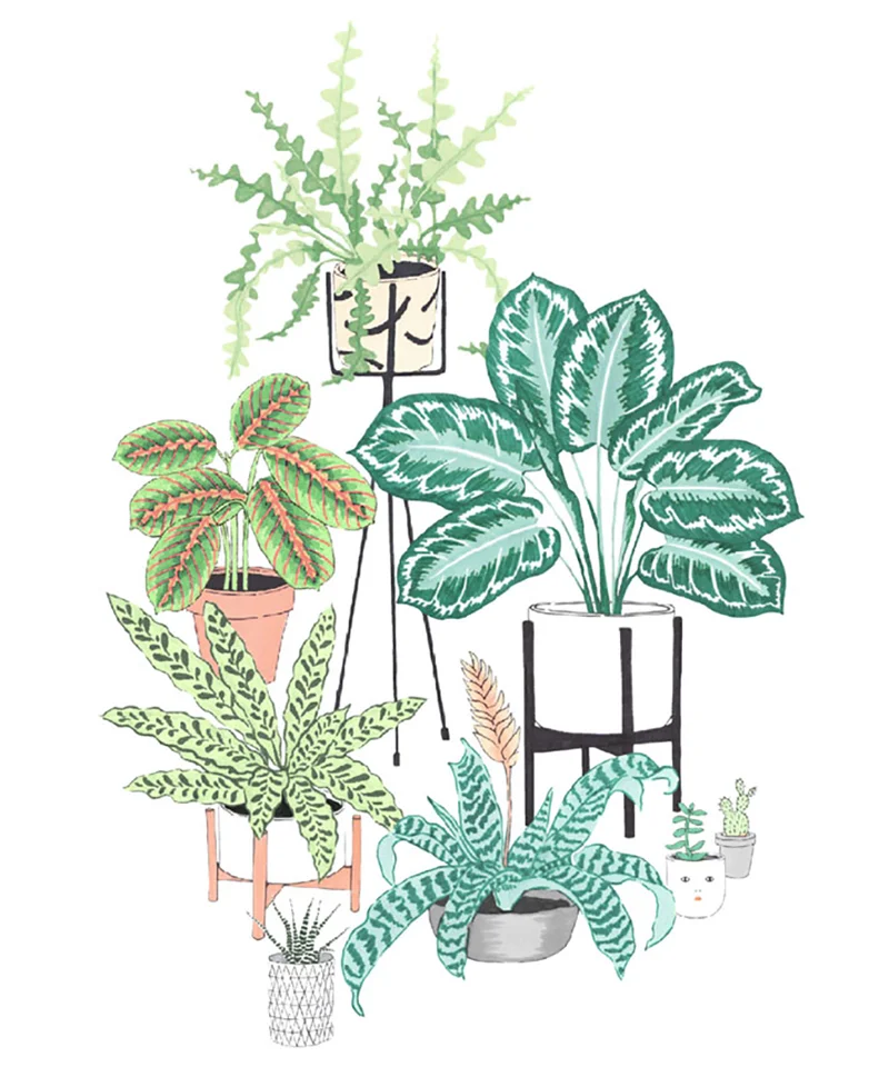 House-plant-pattern-products-Cards.jpg