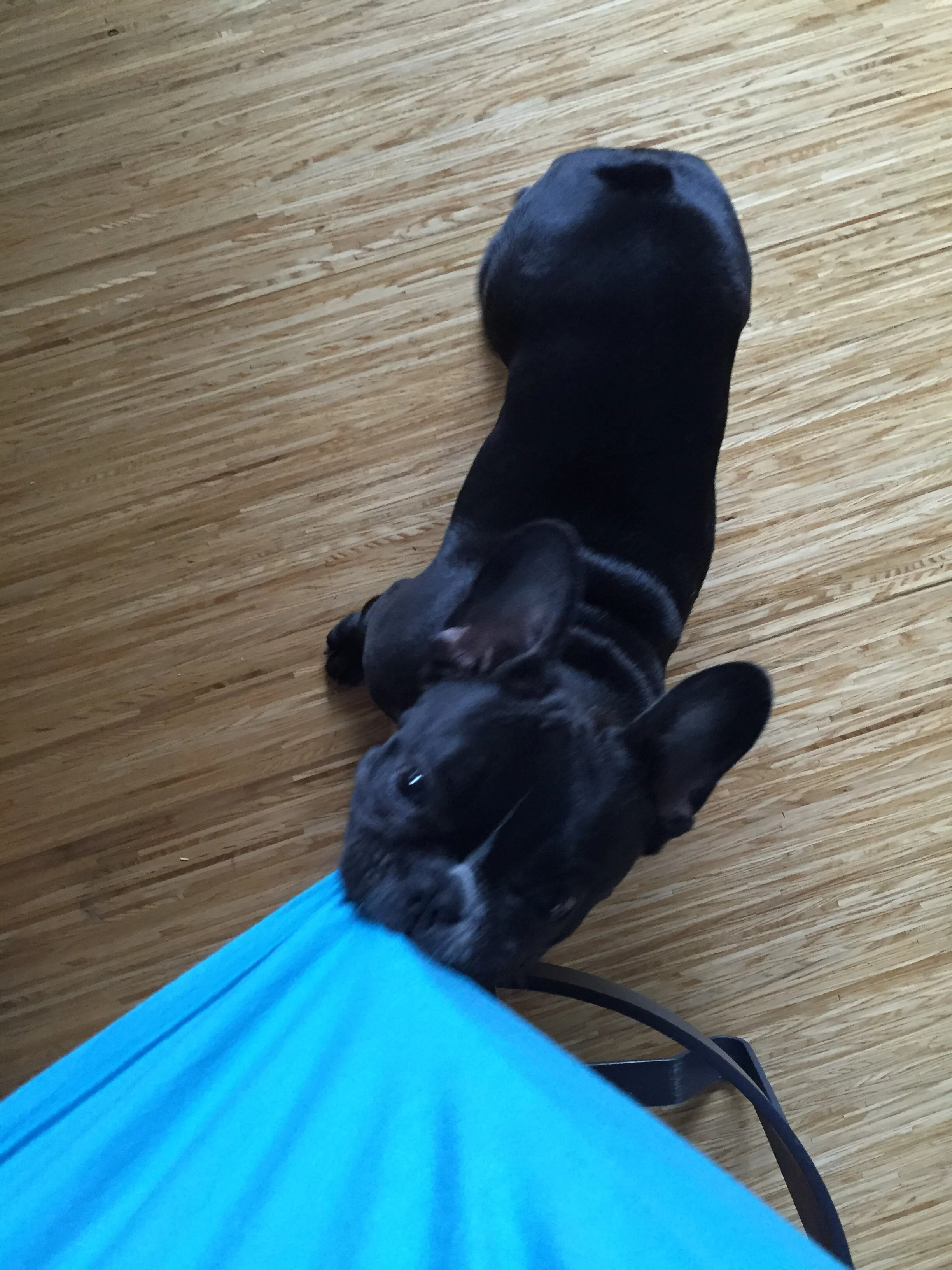 AUGUST 29th  |  Seattle, WA