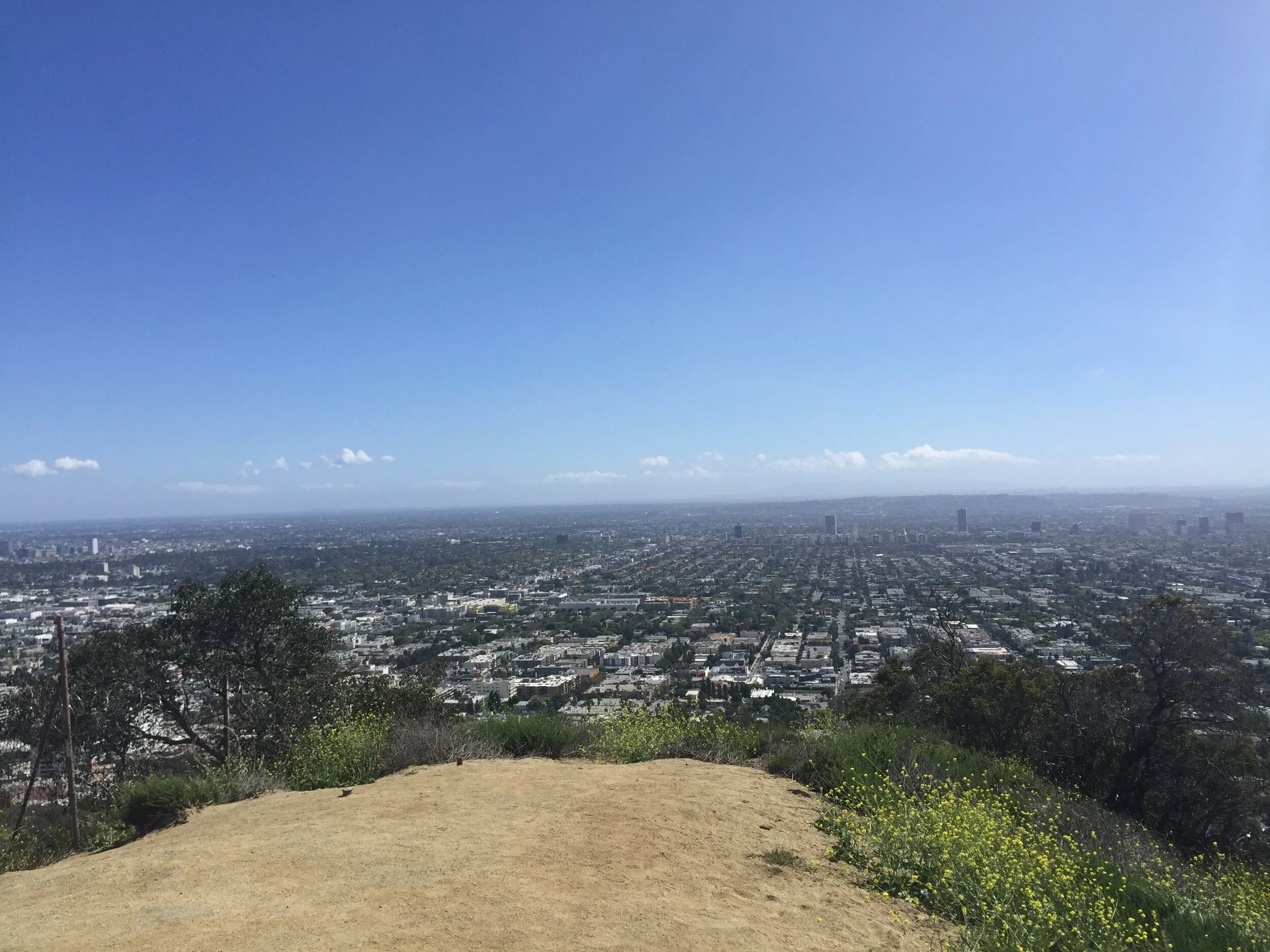 Runyon Canyon Park, Hollywood Hills