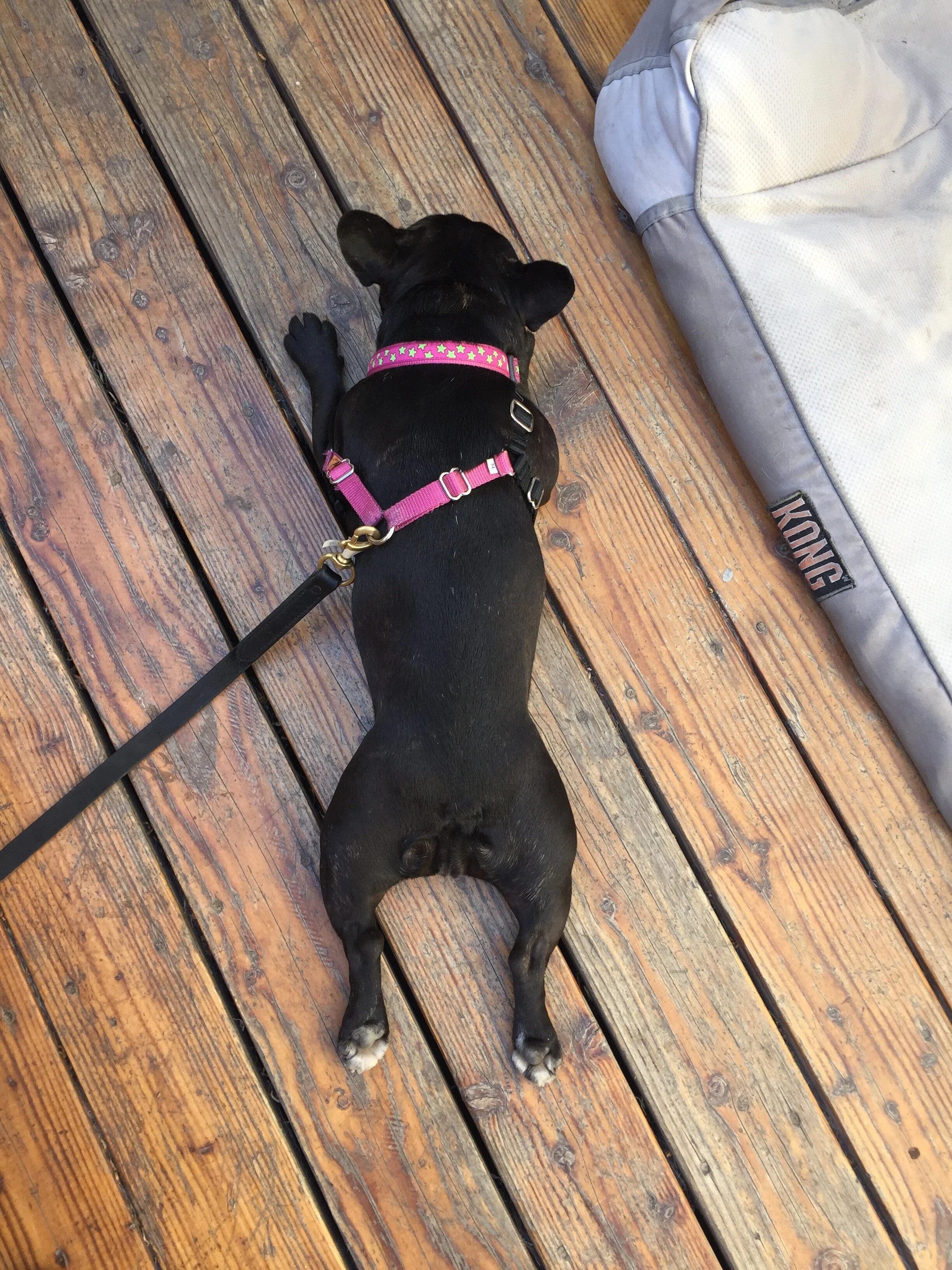 JULY  |  Santa Monica