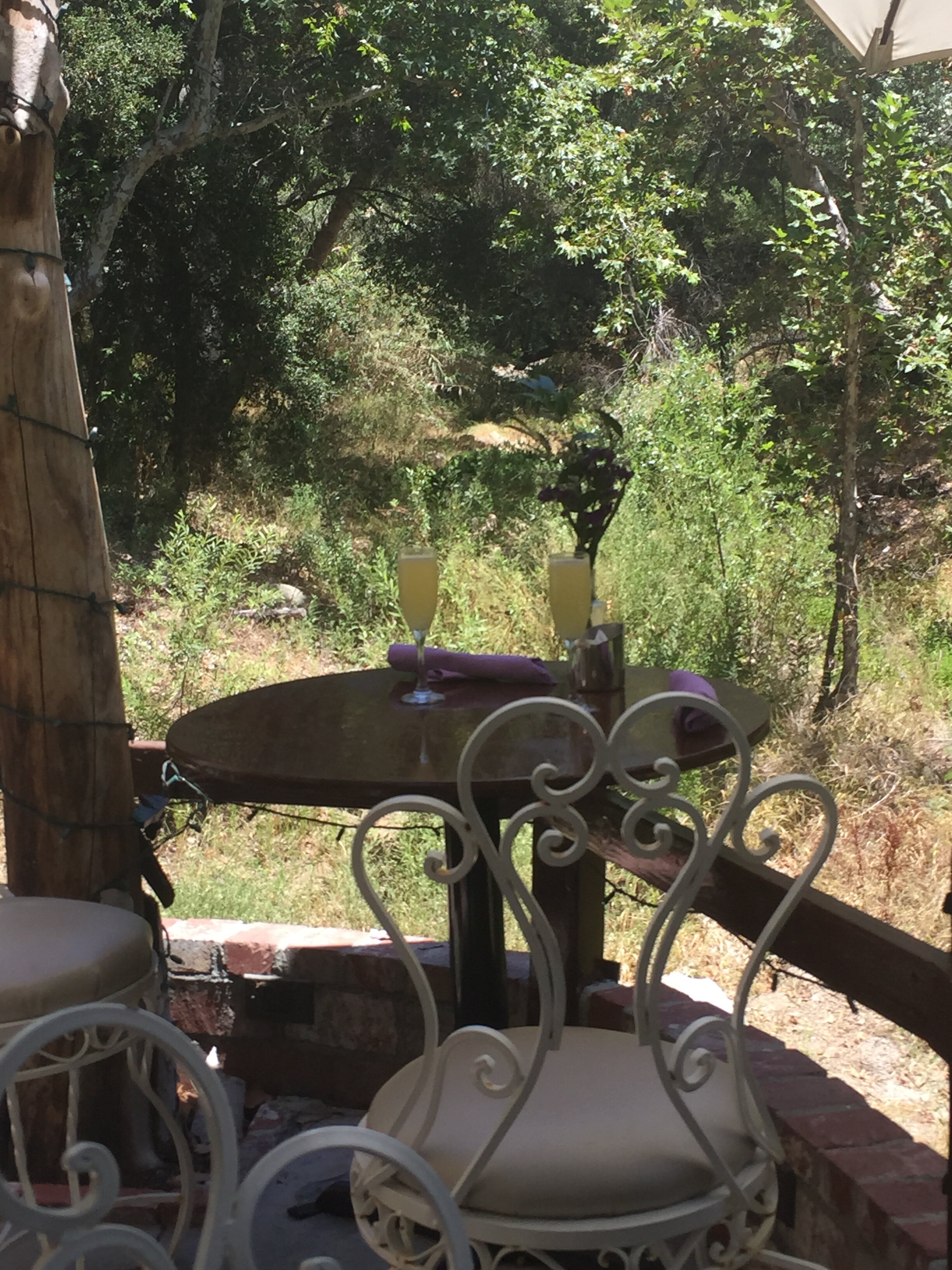 JULY  |  Inn at the Seventh Ray, Topanga