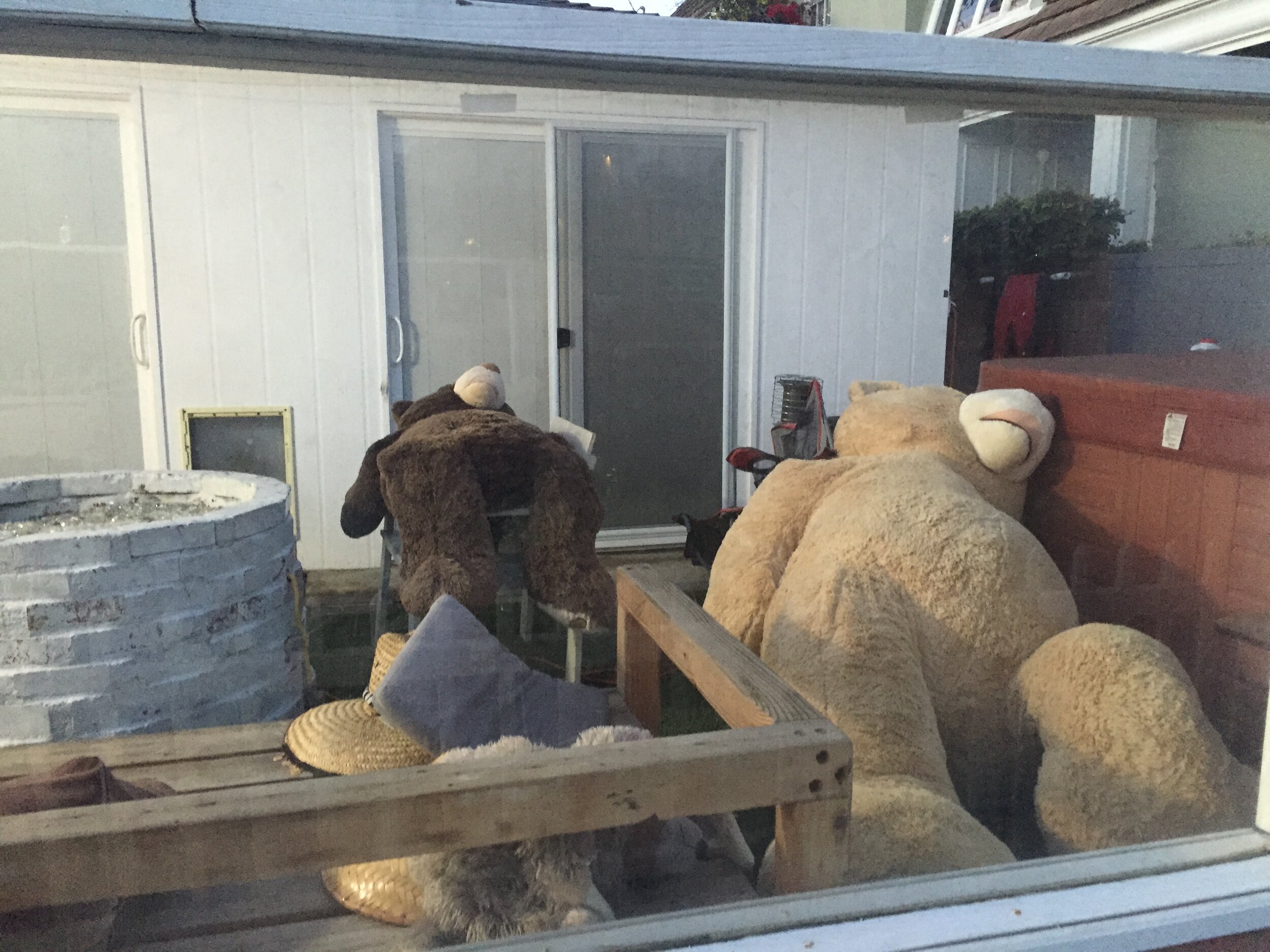 DECEMBER  |  Venice Canals, Venice Beach