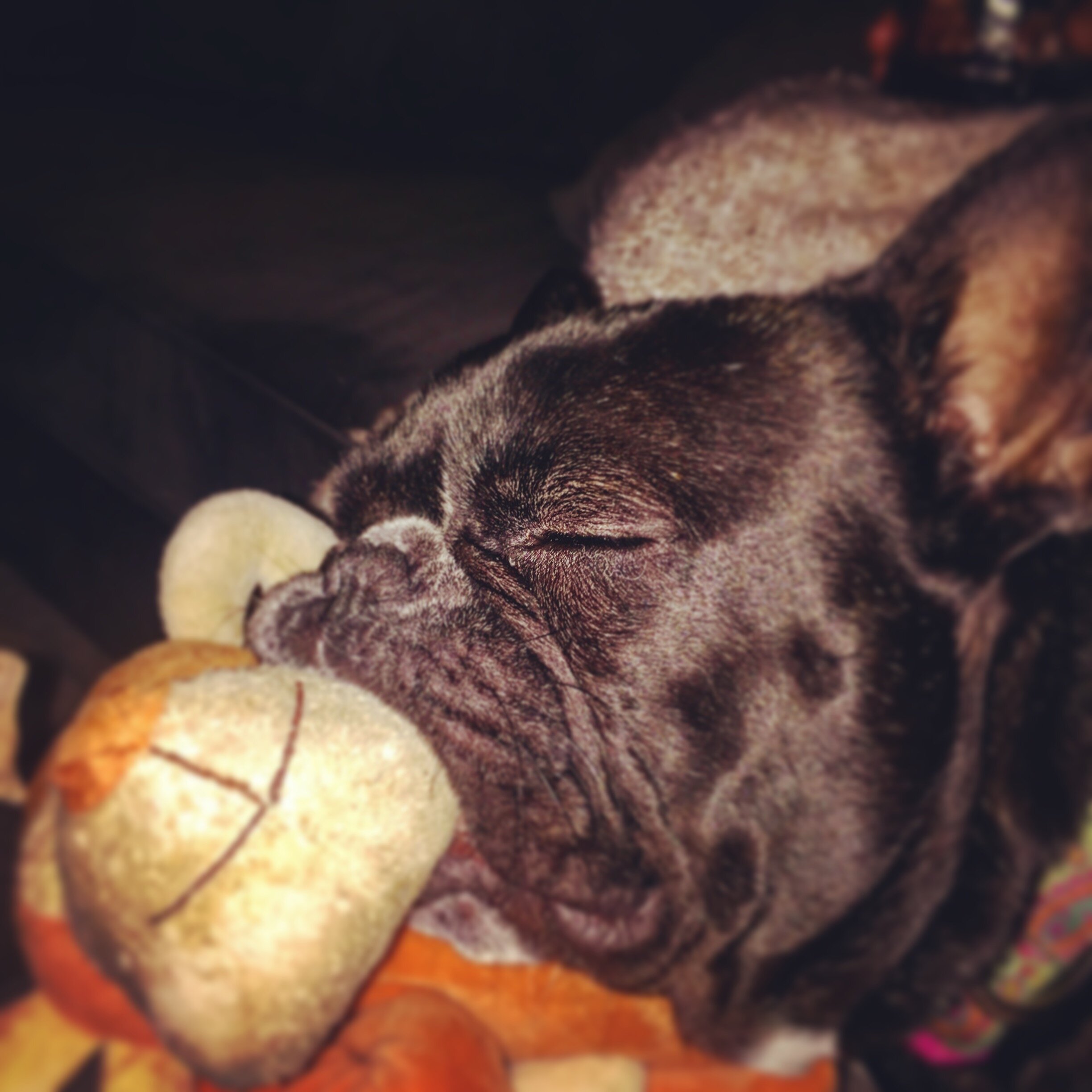 DECEMBER  |  Home, Marina del Rey