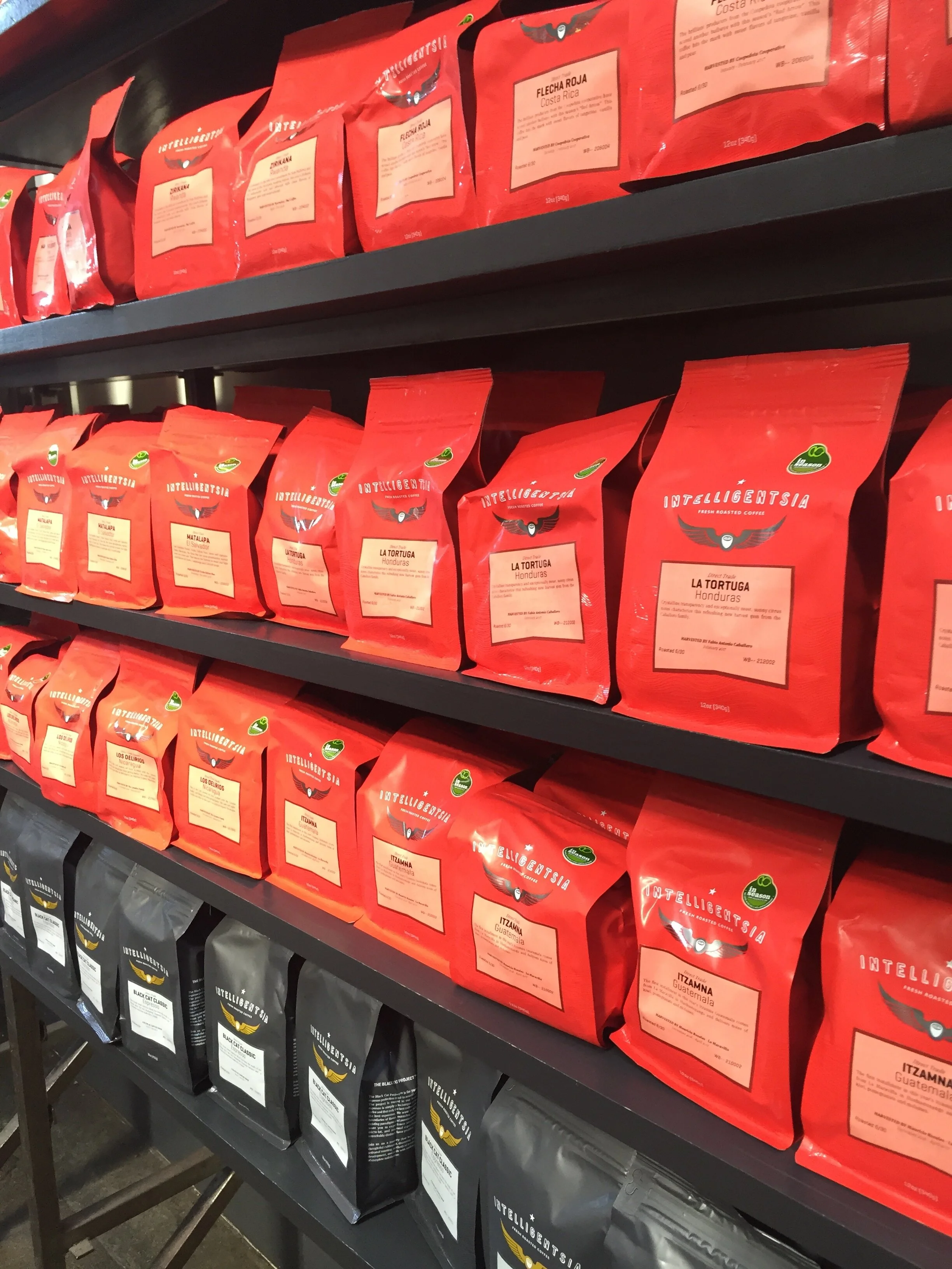 JULY  |  Intelligentsia Coffee, Venice Beach