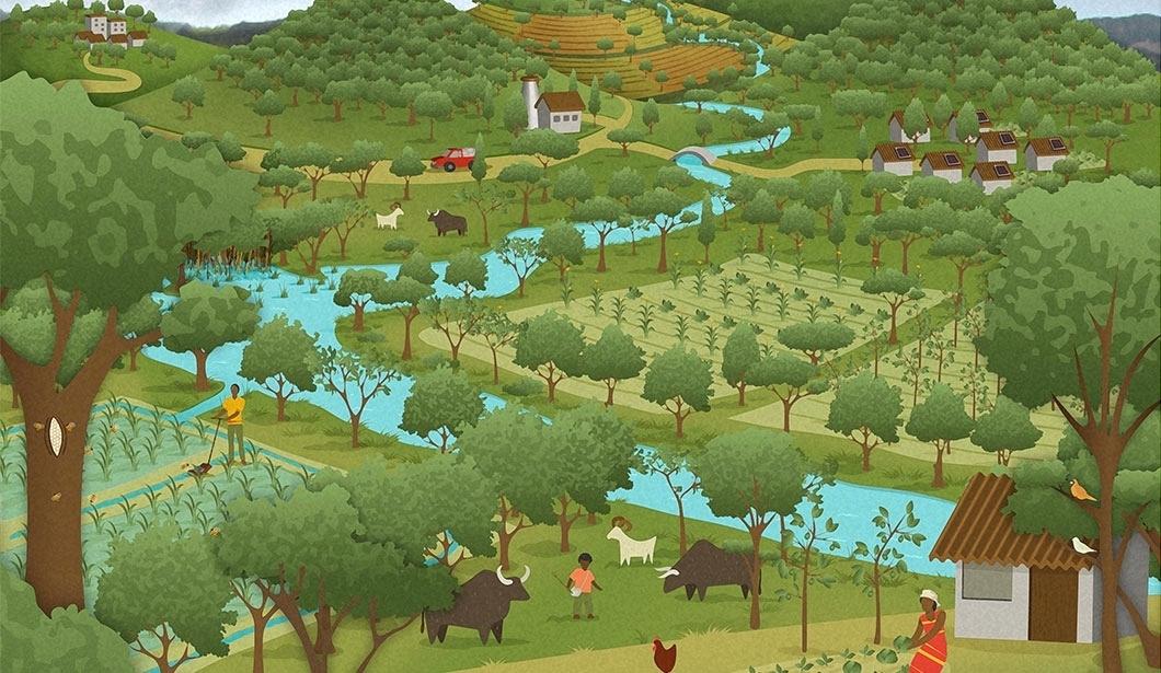 Website photo- food and ag.jpg