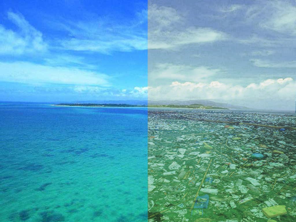 Website photos- Oceans.jpg