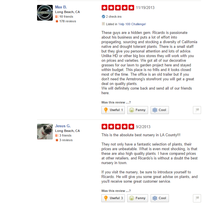 yelp 2.png