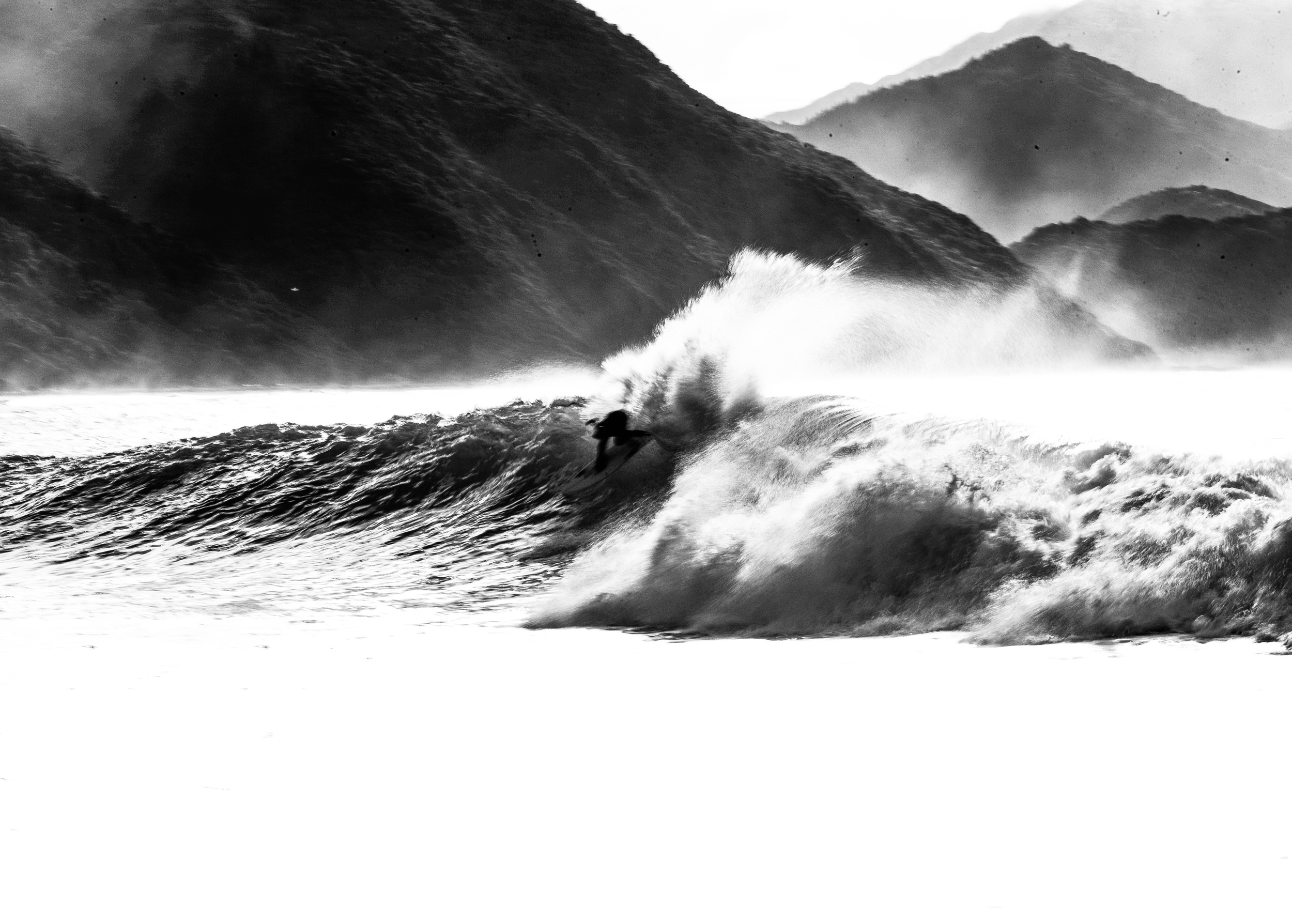 www.boardsilly.co.nz