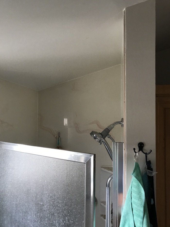 Hopkins Bathroom Shower - Before Remodel.jpeg