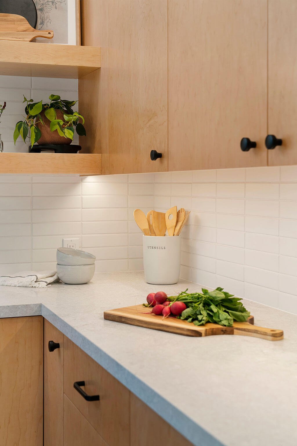 Berkeley Kitchen Remodel - Kitchen Cabinets & Countertop.jpg