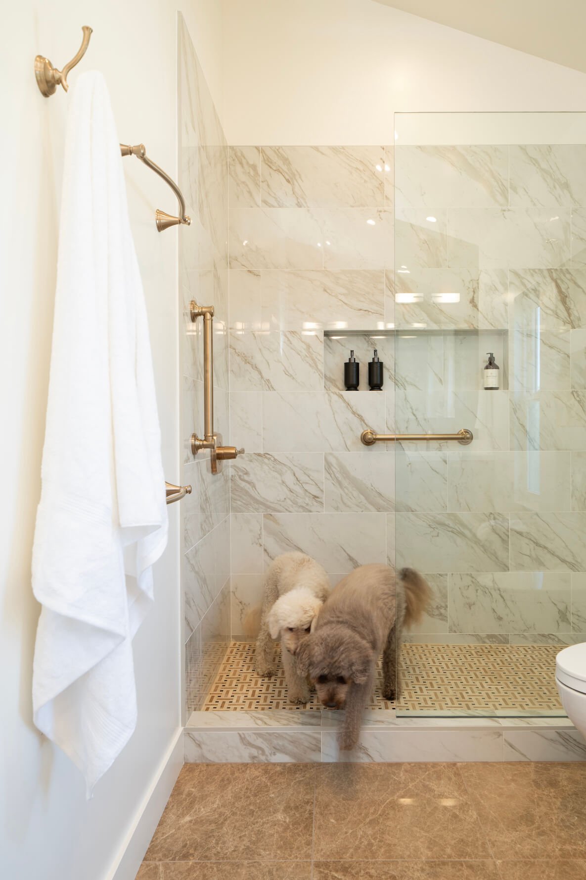 Dogs love the new Richmond bathroom remodel.jpg (Copy)