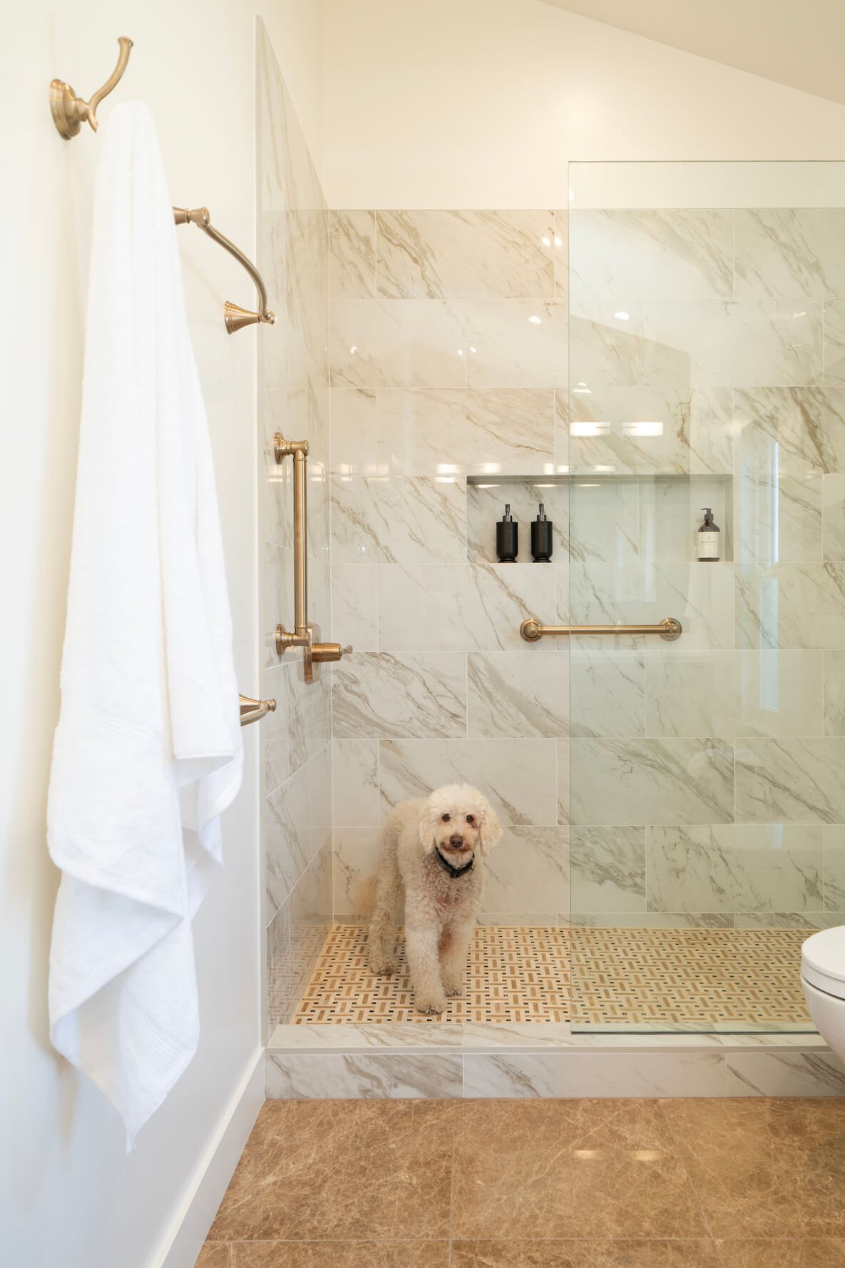 Panama Richmond Bathroom Remodel - Puppy Approved.jpg (Copy)