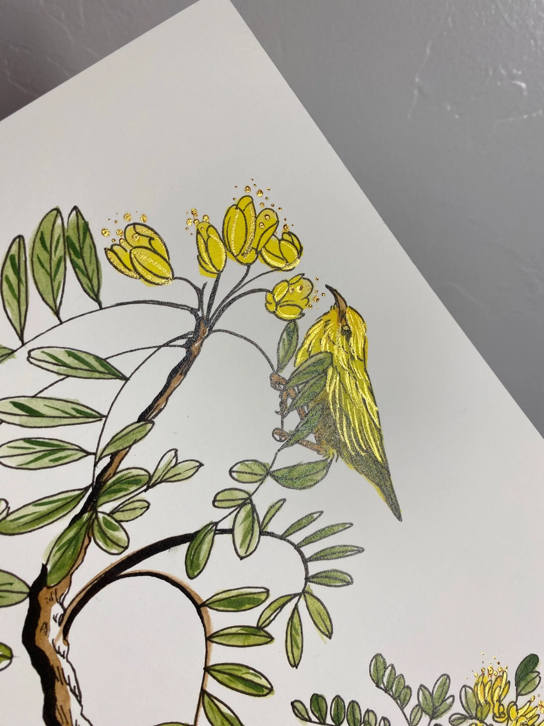 4866BA43-B075-4903-AD2F-BBC83C762A13