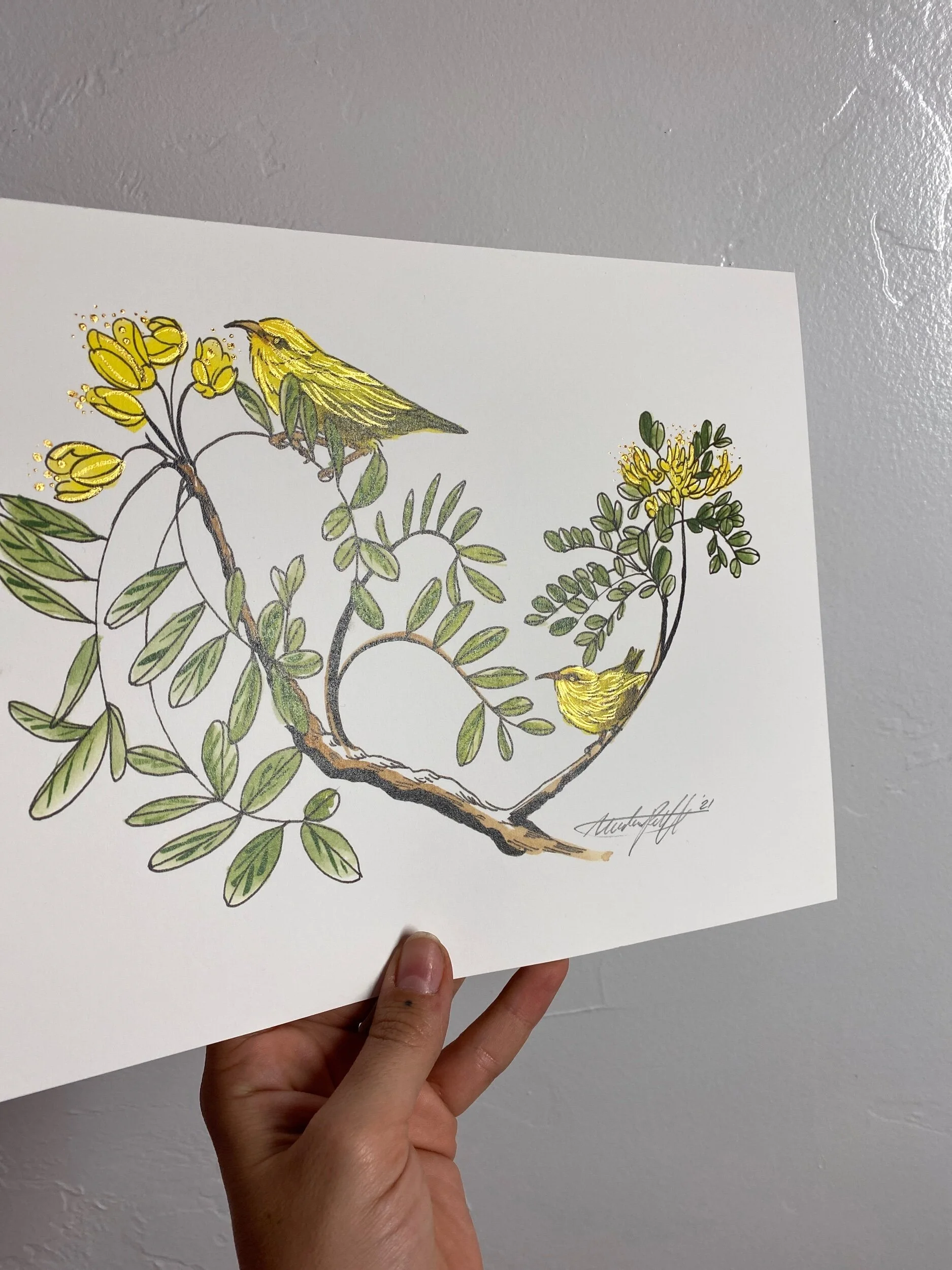 D449A359-7B43-4EAD-BD40-4D6901F49CD8