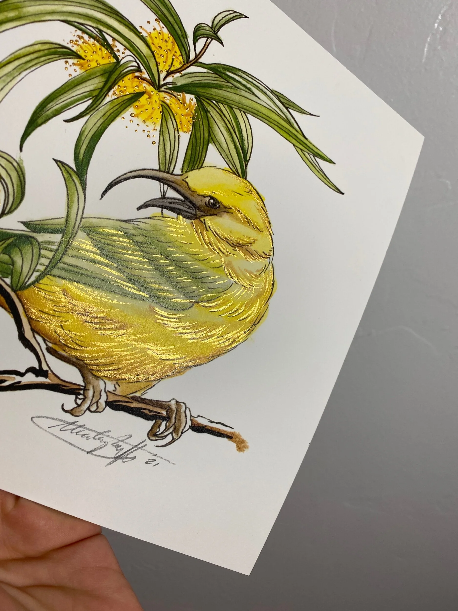 7CFA6667-CB6B-4A07-9EB3-948E079851C9