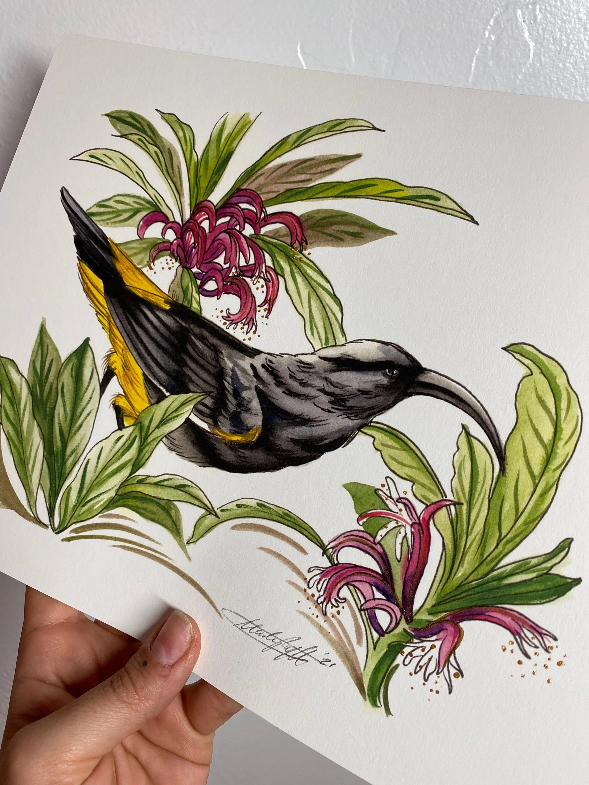 871DF03E-16A7-41C5-869D-21C3124287A1