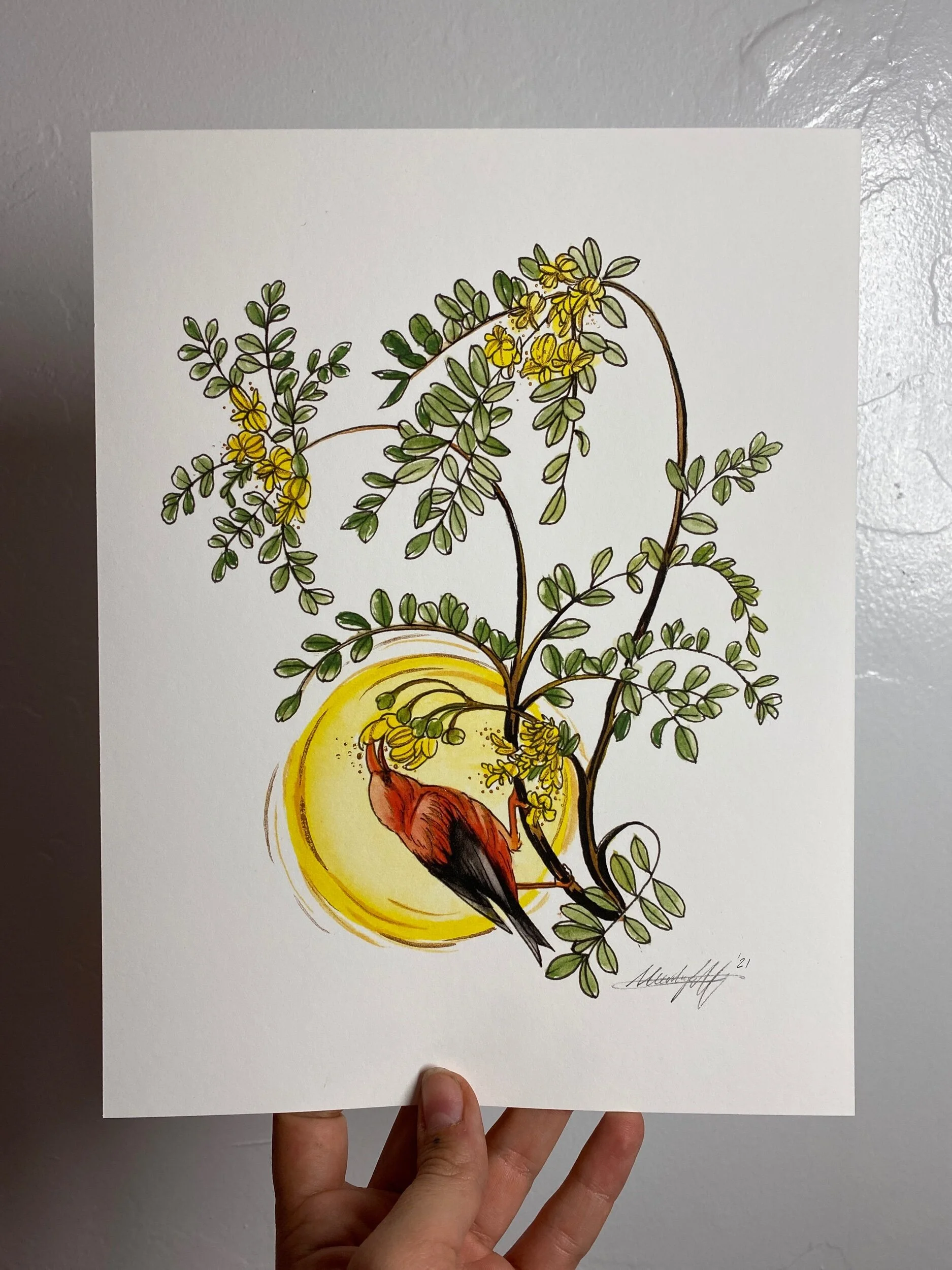 E85B1492-4960-485E-8DAB-DCA9DBB24775