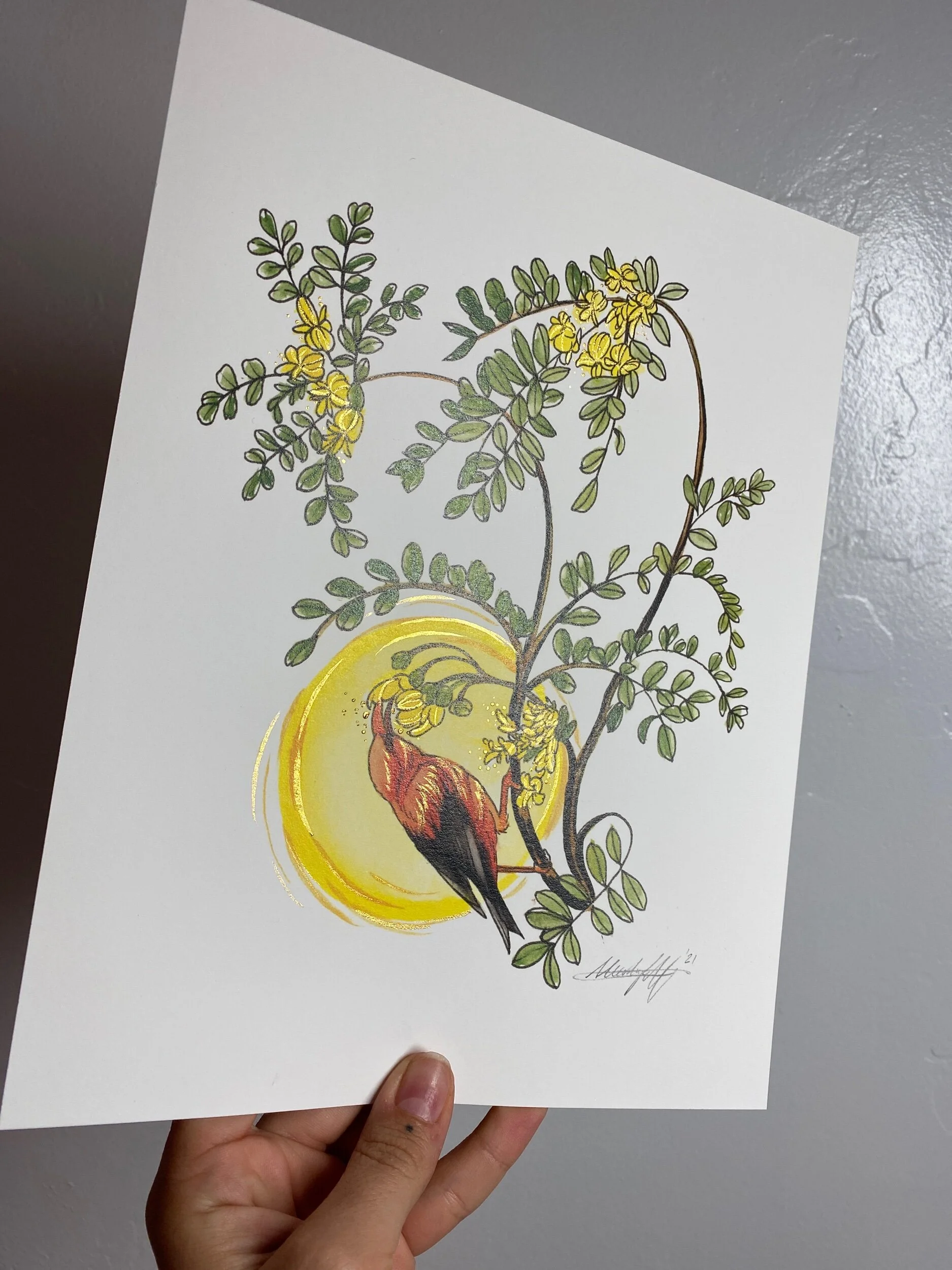 9BDA4E5E-F983-4CA6-85C2-695E32CBD619