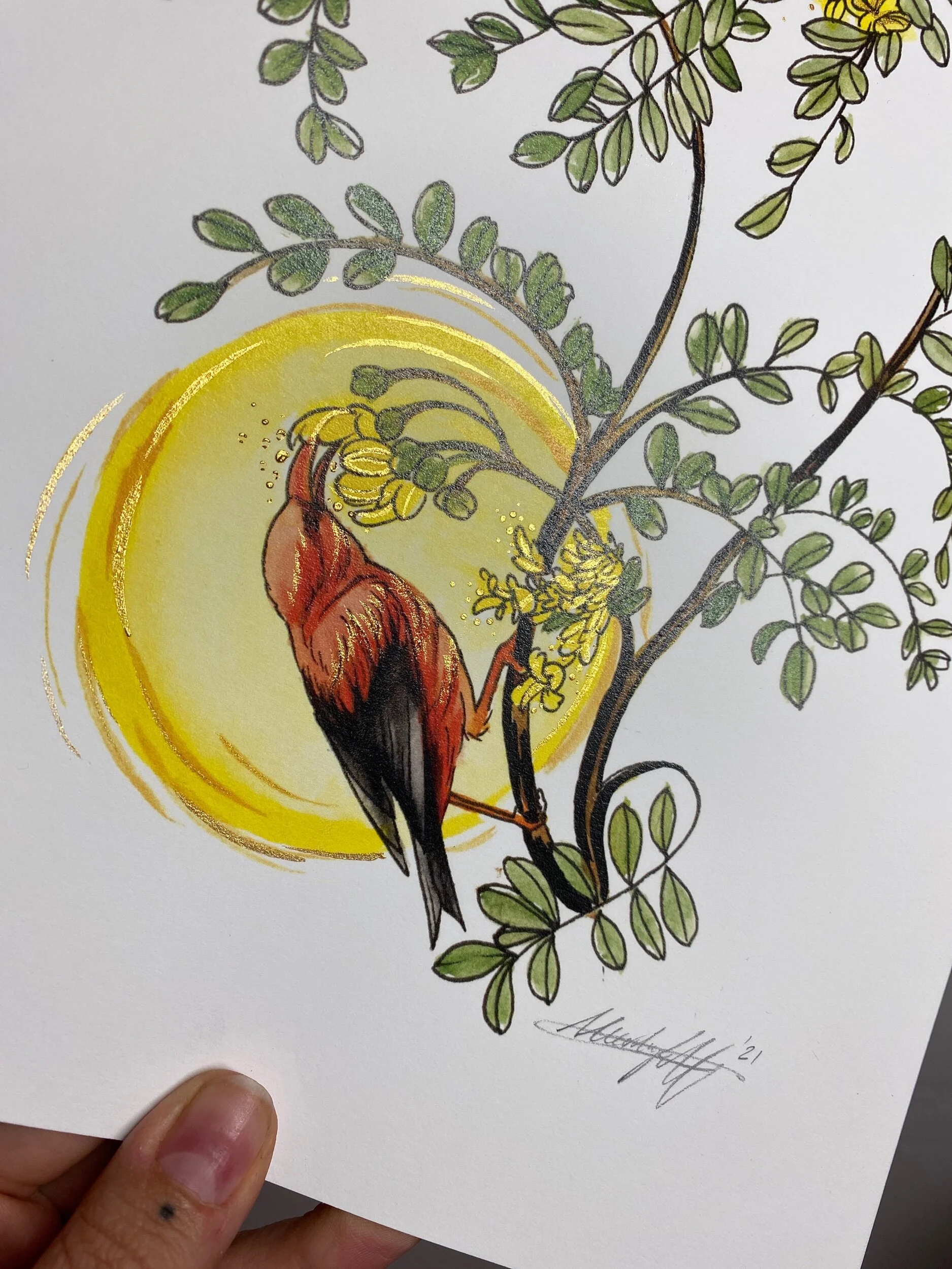 86A65DE9-F820-4867-8699-FF641565E0A7